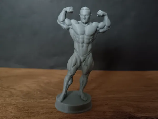 https://makerworld.bblmw.com/makerworld/model/USdb6c1680699746/design/2025-11-29_7117bd1b202c8.jpg