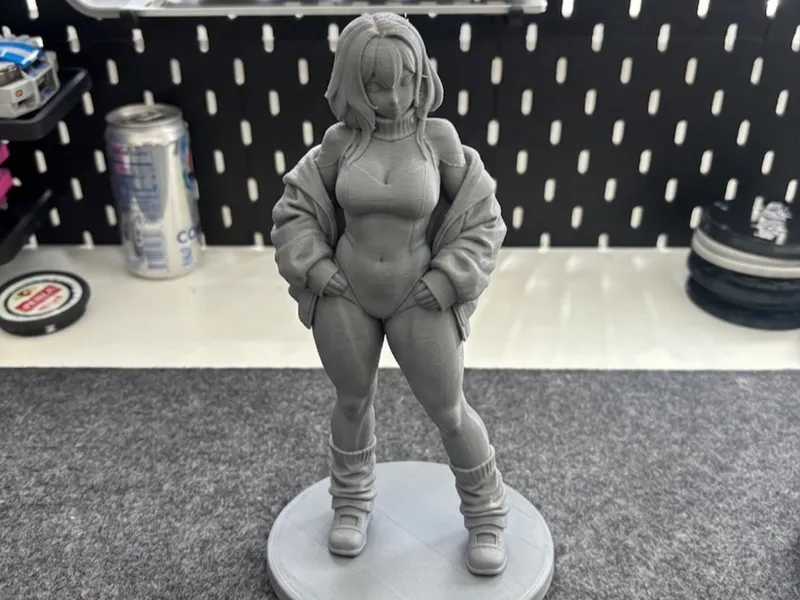 Street Style Anime Girl | Premium Figure