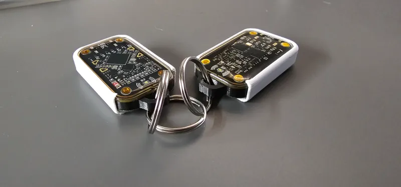 ChameleonTiny Pro Keyring