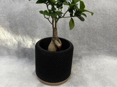 PodPlanter -flowerpot - inspired by HomePod Mini.