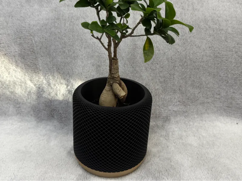 PodPlanter -flowerpot - inspired by HomePod Mini.