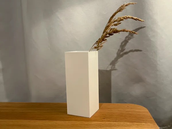 https://makerworld.bblmw.com/makerworld/model/USdb7586a5d768f0/design/2024-12-06_b57bb8b0a57d6.jpg