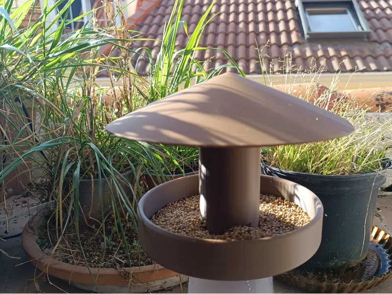 Bird feeder