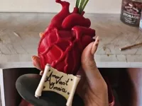 cuore anatomico con pergamena