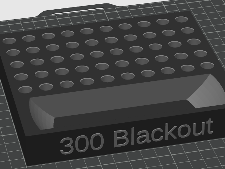 300 Blackout Reloading Tray