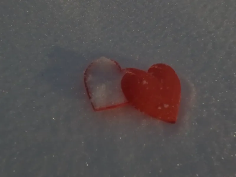 Heart Snow Mold