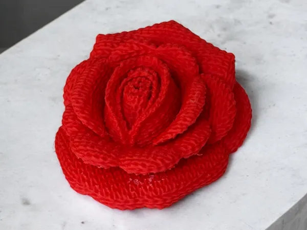 https://makerworld.bblmw.com/makerworld/model/USdb81cdc82ed880/design/2025-01-17_52d6136e7c7cb.jpg