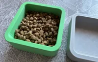 0.2mm layer, 2 walls, 5% infill
