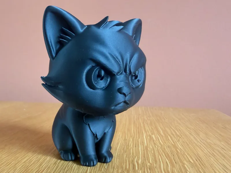 chat grincheux