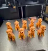 LabradorPuppy_H2C
