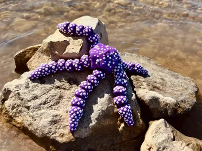 Starfish Orb Deco