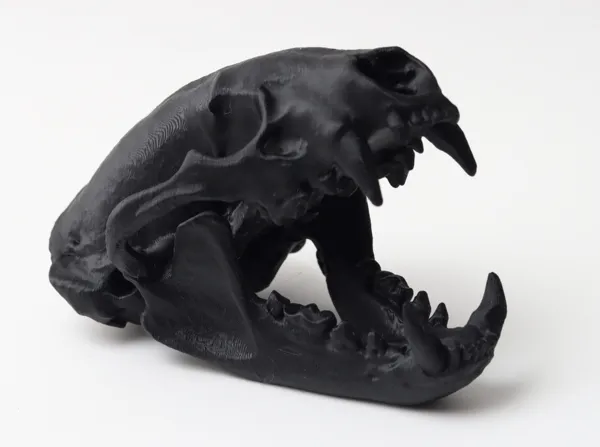 https://makerworld.bblmw.com/makerworld/model/USdb884c418cb0d4/design/2024-12-22_d434ef2c5caf68.jpg