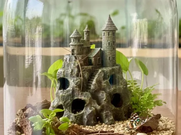 https://makerworld.bblmw.com/makerworld/model/USdb8b37b0dd6497/design/2025-11-22_882f5f5e9ba87.jpg