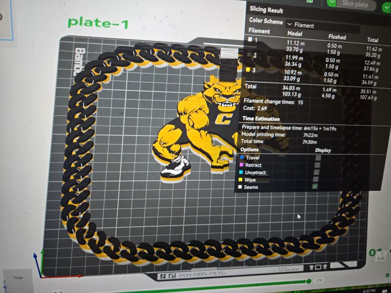 cougar wrestling chain
