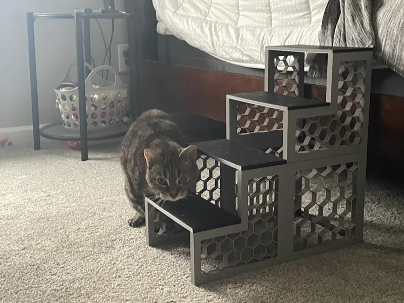 Cat Stairs