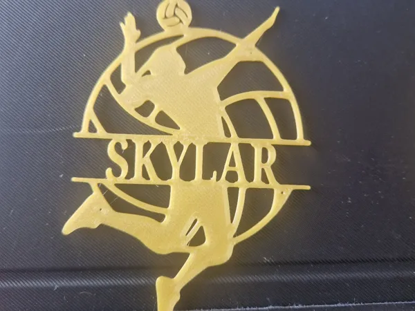 https://makerworld.bblmw.com/makerworld/model/USdb98e93d58ca/design/2025-09-19_a207311a16aa88.jpg