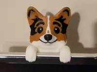 Logan, le corgi curieux — photo 2