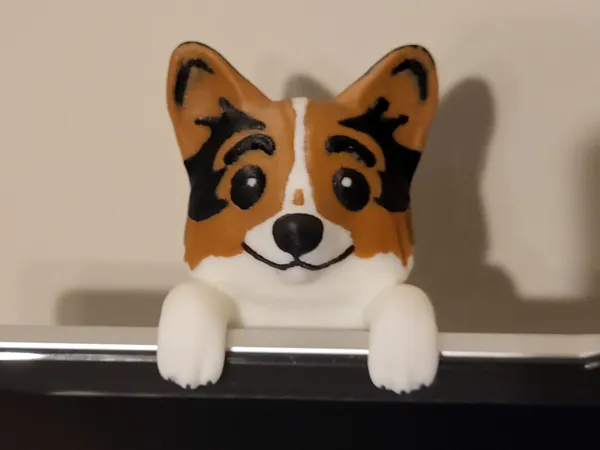 Logan, le corgi curieux