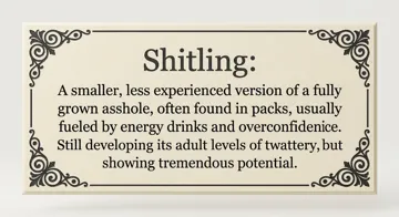 Soporte: Shitling definition — vista de referencia 3