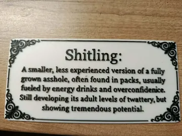 Soporte: Shitling definition — vista de referencia 2