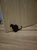 Doorstop