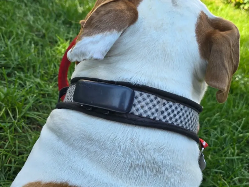 Tractive DOG 4 GPS Support TPU 95A