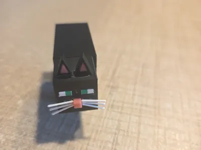 cute black cat