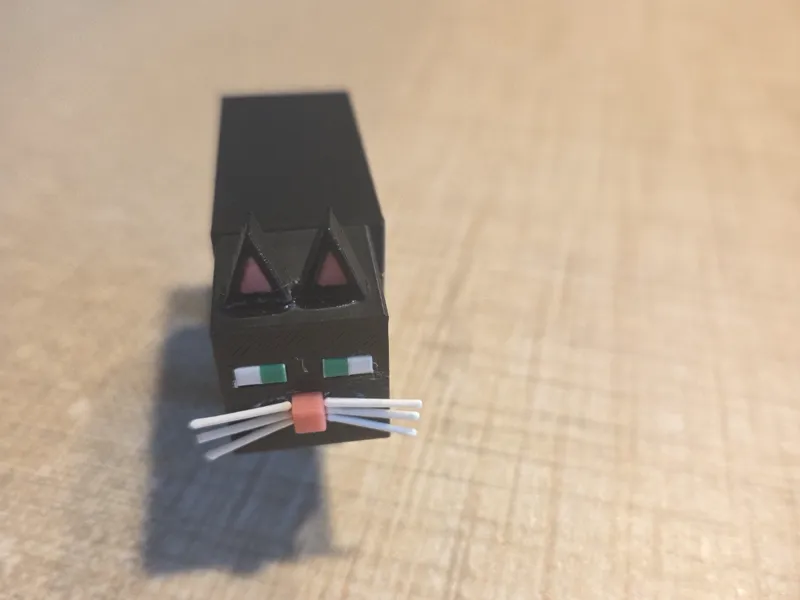 cute black cat