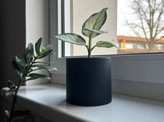 Clean Flower Pot and Planter for Plants Flowerpot