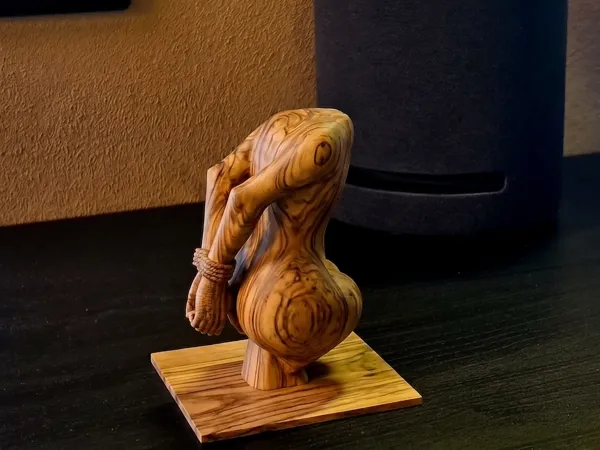https://makerworld.bblmw.com/makerworld/model/USdbb5651d941f36/design/ae3e2a5b5f3e966b.png