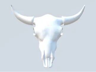 cow skull decoration