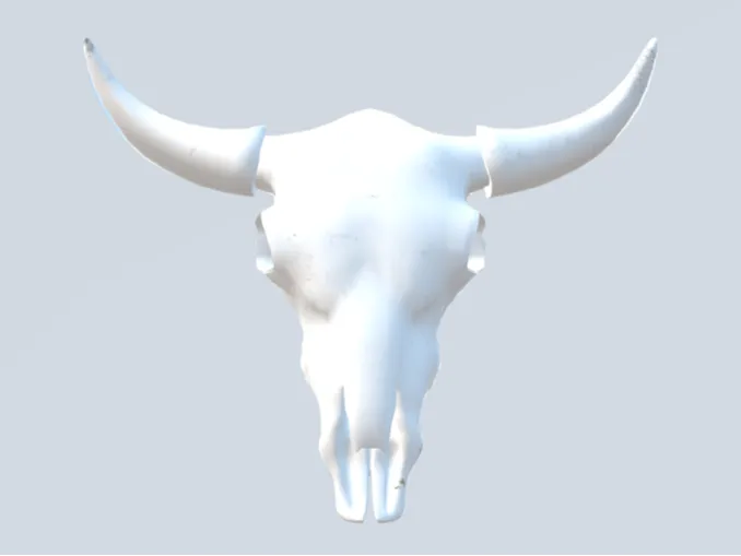 cow skull decoration