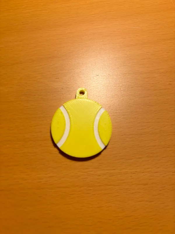 https://makerworld.bblmw.com/makerworld/model/USdbba3f59fdfffb/design/2024-02-04_c784425affb4d.jpeg