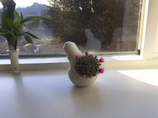 Plant Lamp Bulb - Vase Pot Garden