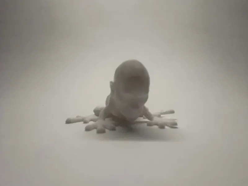 Dwayne The Frog Johnson