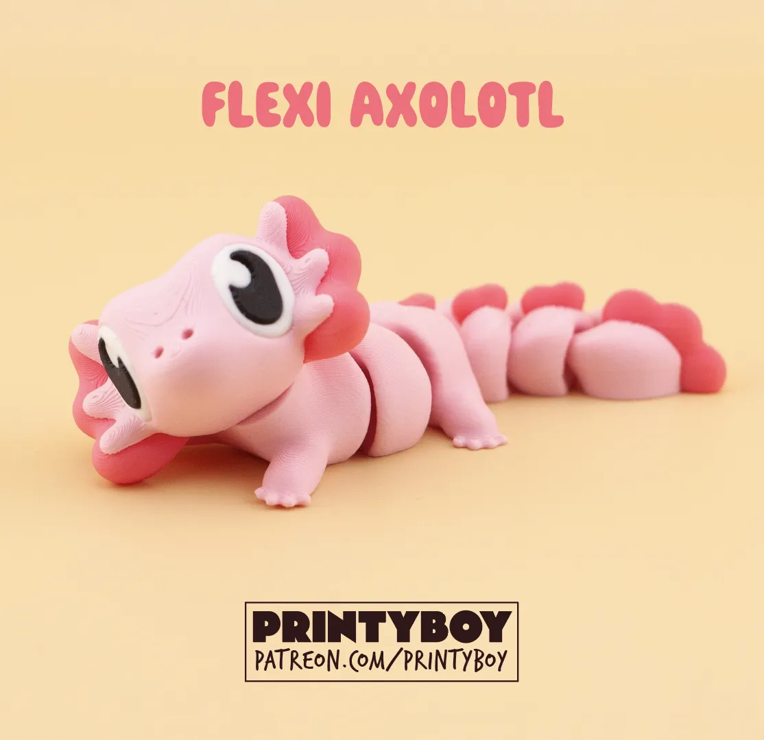 Printyboy - Flexi Axolotl view 2
