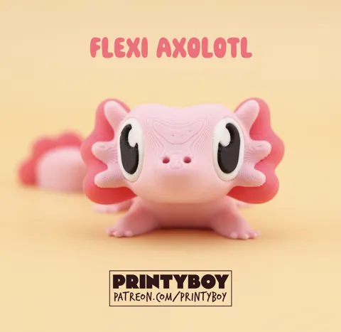 Printyboy - Flexi Axolotl view 4