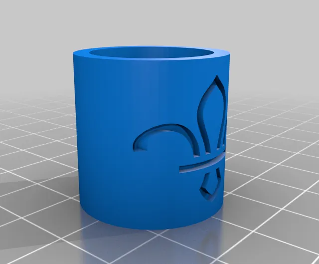 new Scout woggle DS