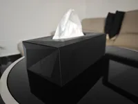 0.16mm layer, 2 walls, 5% infill
