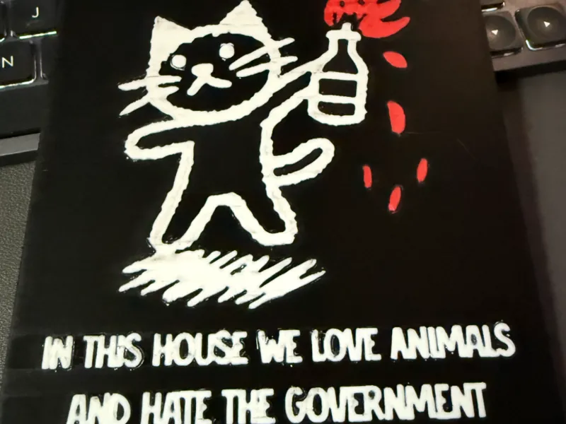 Molotov Kitty Protest Sign (funny)