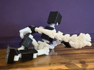 Mini 13 tail
