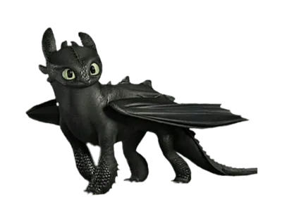 Toothless from How to Train your Dragon