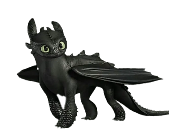 Toothless from How to Train your Dragon