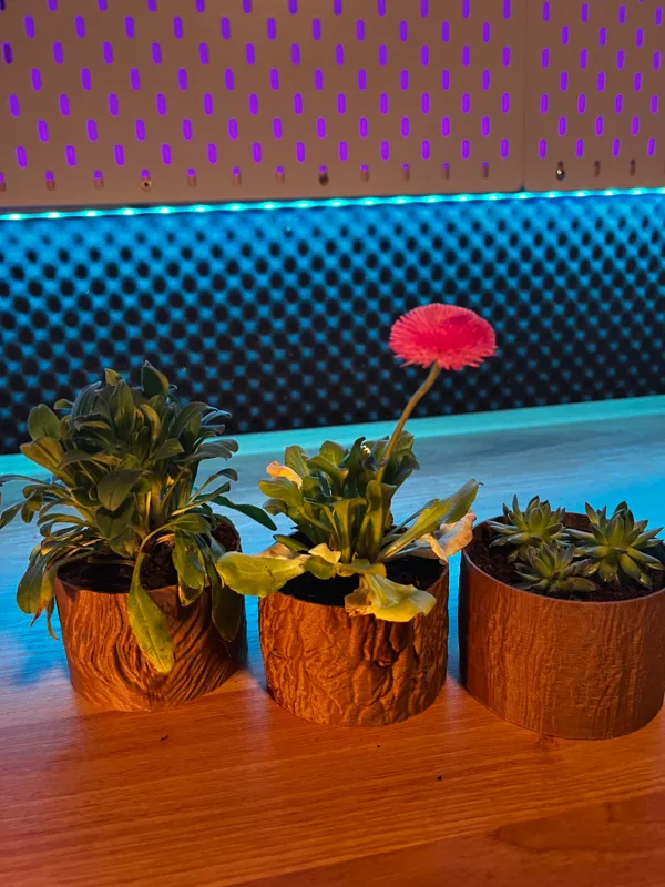 https://makerworld.bblmw.com/makerworld/model/USdbd7939c1eb525/design/2024-03-10_0a0f33ccac776.jpg