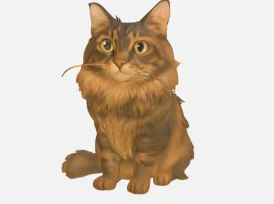 Mainecoon - Cat figure