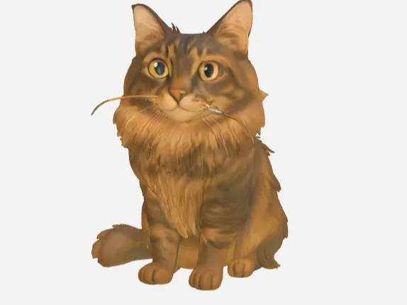 Mainecoon - Cat figure