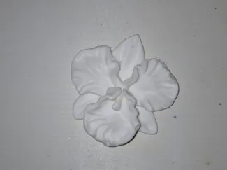 Orchidea per decorazioni