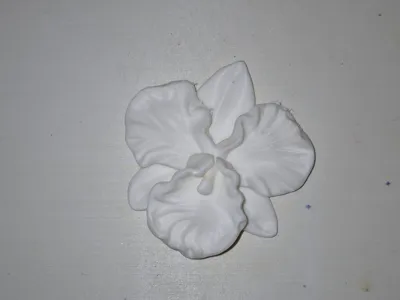 Decorative orchid