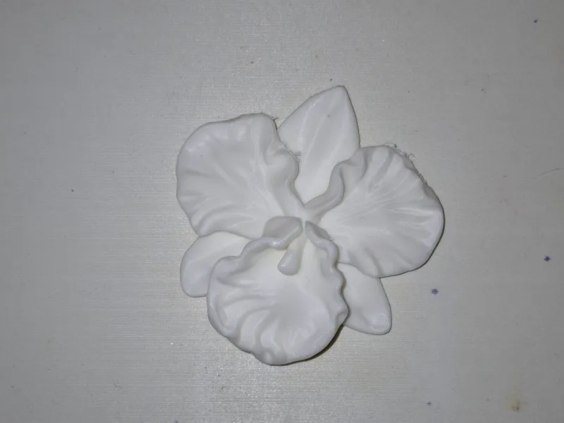 Orchidea per decorazioni