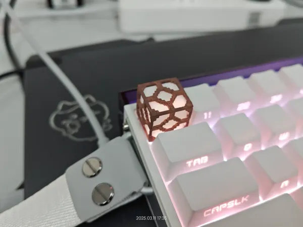 https://makerworld.bblmw.com/makerworld/model/USdbdbea4a932728/design/8ae02b4b-941f-4732-a4f0-02e366b209d3.webp